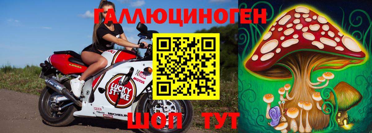 Новосибирск  Галлюциногенные грибы MAGIC MUSHROOMS  Вход с VPN 