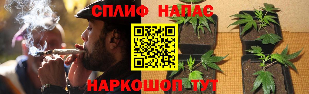 Канабис Amnesia  Конопля конопля  Конопля ГИДРОПОН  Новосибирск  Вход с VPN 